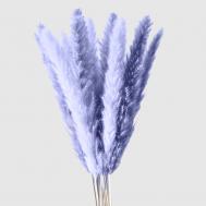 Сухоцветы  кортадерия премиум, сиреневый, 7, 160 см Donna Flor
