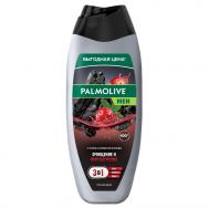 Гель для душа  Men очищение и перезагрузка 450 мл PALMOLIVE