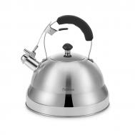 Чайник  Alba из нержавеющей стали 3 л Fissman