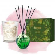 Набор  аромадиффузор 70 мл + аромасвеча Breesal