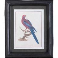 Панно прямоугольное  птица, под старину 26х5х31 см ГЛАСАР