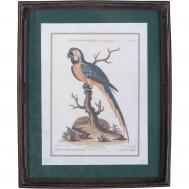 Панно настенное  попугай, под старину, вертикальное 22х2х27 см ГЛАСАР