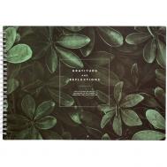 Альбом для рисования, , 299х210 мм, 40 л., мягкий переплет, спираль, бумага 120 г/м2. Коллекция "Botanica", листья Be Smart