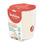 Аромасвеча 80/73мм  true scents ваниль Bolsius