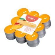 Свечи чайные 4часа 18 шт  true scents манго Bolsius