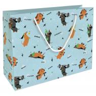 Пакет подарочный  Hobby голубой 36х26 см Be Smart