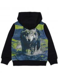 Толстовка Diesel