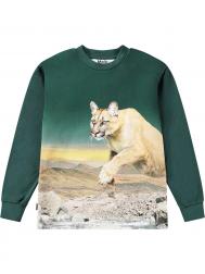 Лонгслив MOLO