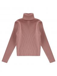 Водолазка Y-clu'