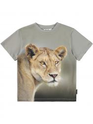 Футболка MOLO