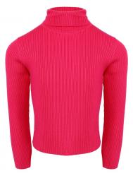 Водолазка Y-clu'