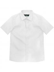 Рубашка Van Cliff