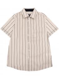 Рубашка Laddobbo