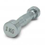 Гантель круглая хромированная 1 кг  PRO DBRND1PCEx2 2 шт UnixFit