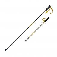 Палки для скандинавской ходьбы  NWS-120 RGX