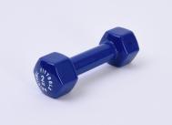 Гантель в виниловой оболочке 2 кг  FT-VWB-2 синий Original Fit.Tools