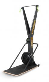 Лыжный тренажер  EXPERIENCE SKIERG Hasttings