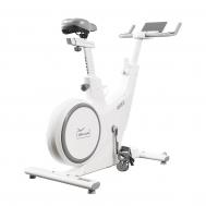 Велотренажер  Ares Orlauf