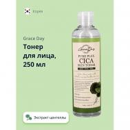 Тонер для лица с экстрактом центеллы азиатской 250 GRACE DAY