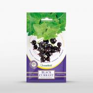 Ягодная серия ароматизатор Black Currant 1 Greenfield