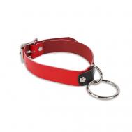Яркий ошейник с колечком Пикантные штучки