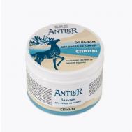 Бальзам для ухода за кожей спины 100 Antler