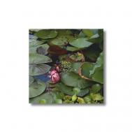 Открытка ‘слушай своё сердце’ ОПРОКИНУТЫЙ ЛЕС