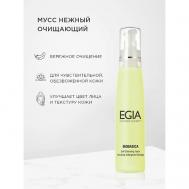 Нежная очищающая пенка-мусс Soft Cleansing Foam 200 Egia