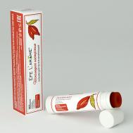 Бальзам для губ с маслом ванили и какао, регенерирующий Шоколадное настроение Efe L'arome