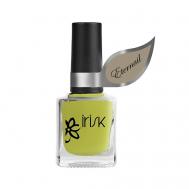 Лак на гелевой основе Eternail mini Spice IRISK