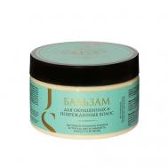 Бальзам для окрашенных и поврежденных волос 300 Jurassic SPA