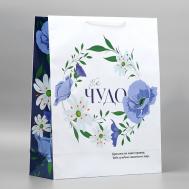 Пакет подарочный ламинированный, упаковка, "Ты чудо" Доступные Радости