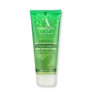 Гель для умывания ним и тулси (Neem & Tulsi) 110 Aaranyaa