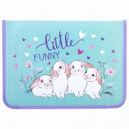 Папка для труда на молнии Little bunny Юнландия