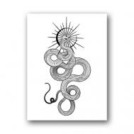 Переводная тату 10*15см (для взрослых и детей) TATTS