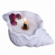 Ароматическая свеча Ракушка Кокосовый пломбир для декора дома SHE STYLE