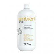 Шампунь для поврежденных волос AMBIENT 950 TEFIA