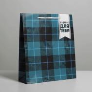 Пакет подарочный ламинированный, упаковка, "Real man" Доступные Радости