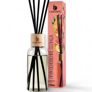 Диффузор ароматизатор для дома с палочками Прикосновение солнца 100 CAROMIC