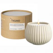 Свеча ароматическая Musk, Rose & Cedarwood 200 Tkano