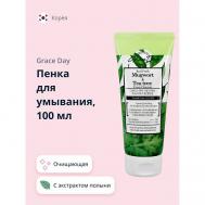 Пенка для умывания с экстрактом полыни и чайного дерева 100 GRACE DAY