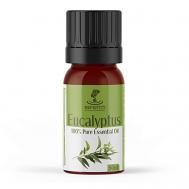 Натуральное эфирное масло эвкалипта 30 NEFERTITI FOR NATURAL OILS AND HERBS