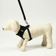 Комплект амуниции с мягкой шлейкой и светоотражающей нашивкой Пижон