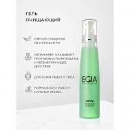 Гель очищающий Cleansing Wash 200 Egia
