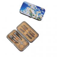 Набор маникюрный, 6 предметов Queen fair