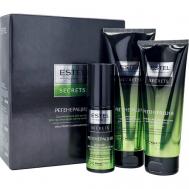 Набор средств по уходу за волосами Регенерация Estel Professional