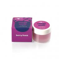 Бальзам для губ Ягодный праздник PLUM