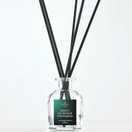 Диффузор Абсент из черной смородины 80 AROMAWAX