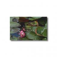 Стикер на карту 'слушай своё сердце' матовый ОПРОКИНУТЫЙ ЛЕС