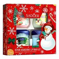 Набор бальзамов для губ питательных Christmas SADOER